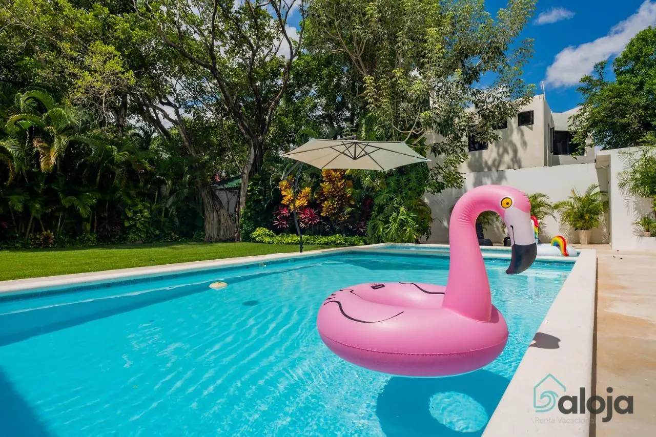 Modern Villa With Private Pool In Cancún