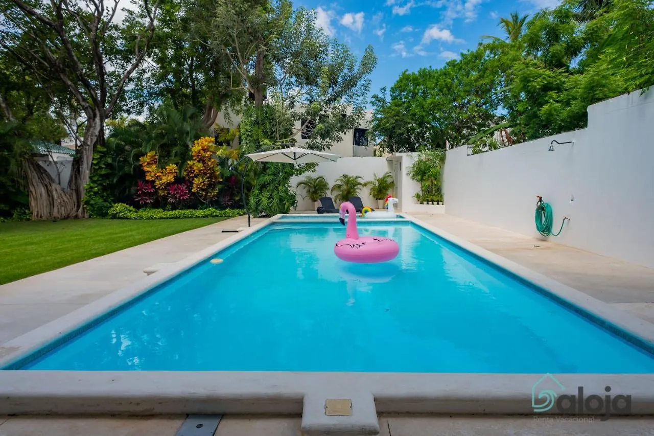 Modern Villa With Private Pool In Cancun Mexico