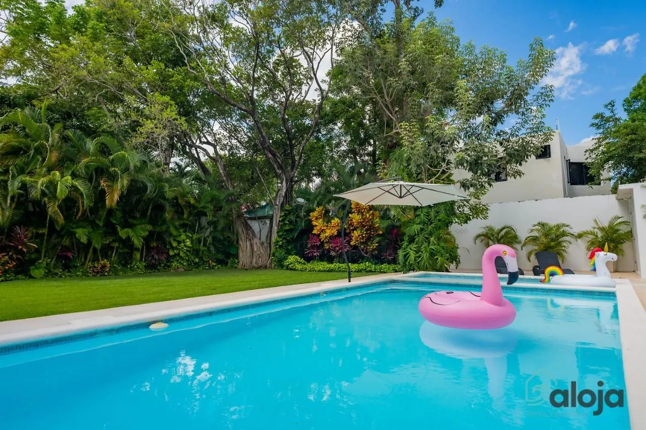 Modern Villa With Private Pool In Cancun 0*,