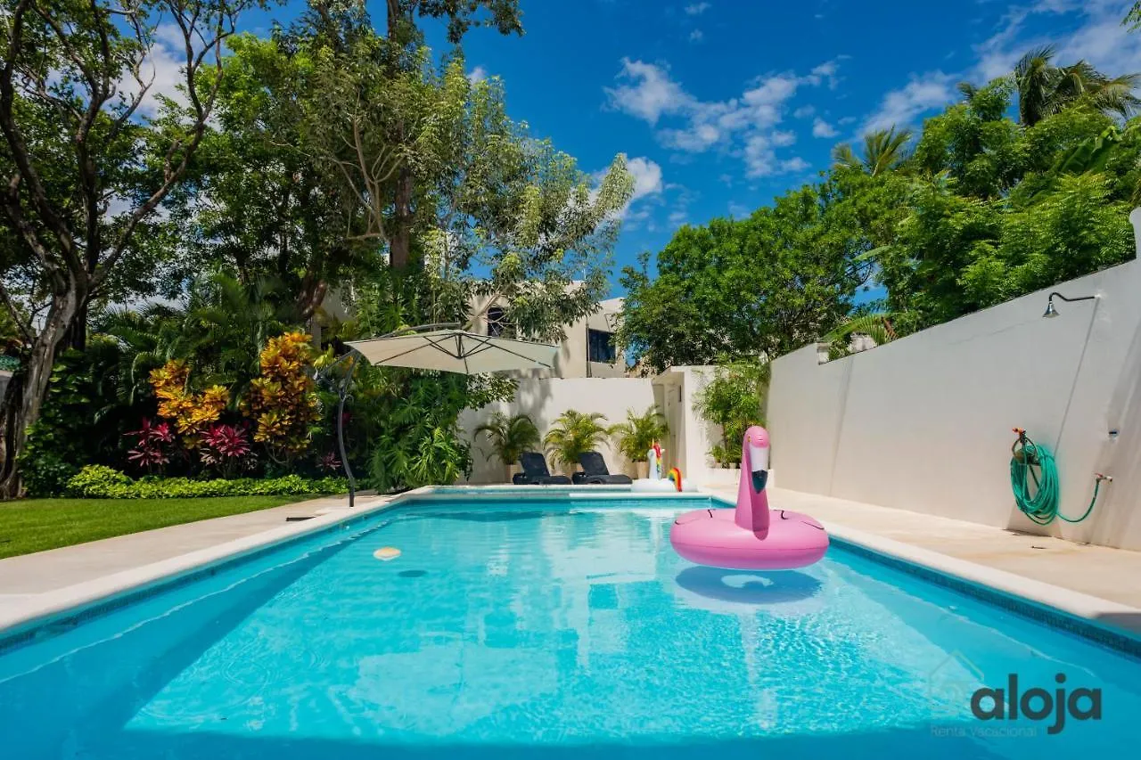 Modern Villa With Private Pool In Cancun